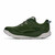 GLM - Baby Kale - Nettle Leaf