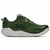 GLM - Baby Kale - Nettle Leaf