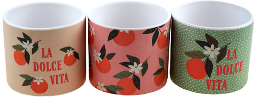Fruit Pastel Plant Pots - La Dolce Vita Design (Set of 3) Fruit Pastel Plant Pots - La Dolce Vita Design (Set of 3)