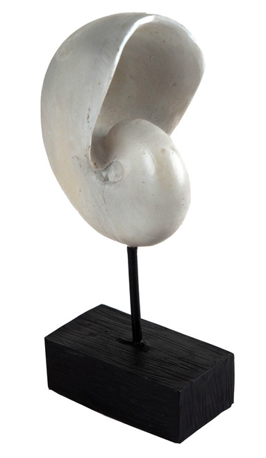 Large White Nautilus Shell Fossil 26cm Sculpture Ornament - Nautical Home Decor