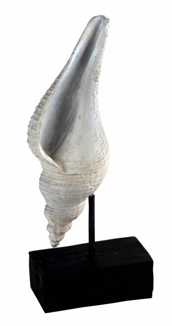 Large White Sea Shell 27cm Sculpture Ornament - Nautical Home Decor - Design C