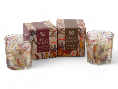 Fragranced Candles - Mimosa & Cardamom and Lime Basil & Mandarin - Set of 2