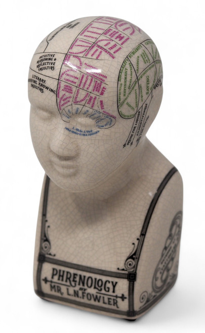 Vintage Style Ceramic Phrenology Head Bust