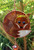 Fox Sun Catcher Wind Chime - Hanging Home Garden Decoration