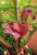 Flamingo Sun Catcher Wind Chime - Hanging Home Garden Decoration