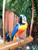 Large 105cm Parrot On Perch Bamboo Wood Wind Chime Mobile