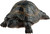 17cm Life Like Tortoise Figurine Ornament 