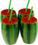 Set of 4 Plastic Watermelon Tumbler Cups with Lid & Reusable Straw