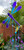 Blue Purple Dragonfly 37cm Hanging Sun Catcher