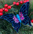 Christmas Tree Butterfly Decorations - Sequin Purple Teal Green Blue (Set of 8)