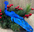 Royal Blue Peacock Clip On Craft Birds Christmas Tree Decorations (Set of 2)