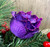 Clip On Purple Rose Flower Christmas Tree Decorations (Set of 6)