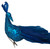 Teal Blue Peacock Clip On Craft Birds - Christmas Tree Decorations (Set of 2)