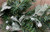 Christmas Glitter Encrusted Garland 1.8m Decoration - Green Peacock Leaf Design Christmas Glitter Encrusted Garland 1.8m Decoration - Green Peacock Leaf Design