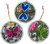 Hanging Garden Quote 16cm Round Plaques - Butterfly Bird Dragonfly (Set of 3)