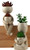 Artificial Succulent Plants In Novelty Flower Pot Men Pots (Set of 2) Artificial Succulent Plants In Novelty Flower Pot Men Pots (Set of 2)