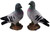 Pigeon 23cm Garden Bird Ornaments - Life Like Detail - Set of 2