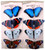 Garden Clip On Butterflies - Plastic 13cm Wing  (Set of 8)