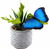 Garden Clip On Butterflies - Plastic 13cm Wing  (Set of 8)