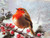 Robins Christmas Dinner Hardback Placemats And Coasters - Set of 4
