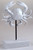 White Crab 22cm Sculpture Ornament On Stand - Nautical Home Decor