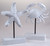White Crab Starfish 22cm Sculpture Ornament - Nautical Home Decor - Set of 2