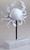 White Crab Starfish 22cm Sculpture Ornament - Nautical Home Decor - Set of 2