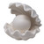 Clam Shell with Pearl Porcelain LED Night Light