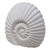 Ammonite Shell Porcelain LED Night Light