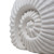 Ammonite Shell Porcelain LED Night Light