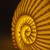 Ammonite Shell Porcelain LED Night Light
