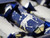 Harvey & Mason Deluxe Christmas Crackers - Navy Blue Gold Stag - Set of 6 Harvey & Mason Deluxe Christmas Crackers - Navy Blue Gold Stag - Set of 6