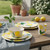Reusable Plastic Dining Picnic Set - 16pcs Plates Bowls Cups - Lemon