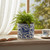 Blue & White Indoor Ceramic Plant Flower Pot - Bird - Set of 2