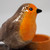 Ceramic Robin Tealight Candle Holder Ornament