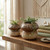 Mushroom Toadstool Glazed Ceramic Plant Pot Set - Earth Tone - Set of 2