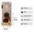 Amber Sandalwood Reed Diffuser Gift Set for Him Masculine Fragrance - Set of 2