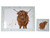 Highland Cow Dinner Hardback Placemats & Coasters - Set of 4
