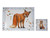 Woodland Animals Dinner Hardback Placemats & Coasters - Set of 4