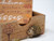 Autumn Cosy Wooden Coasters with Hedgehog Storage Holder - Set of 4