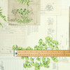 Wipe Clean Fabric - Navarra: Herbs.  Pictured with wooden metre rule.