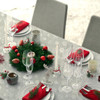 Living Sparkle Grey Pearl Christmas Tablecloth Acrylic Coated Wipe Clean shown in a festive table setting.