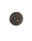 Faux Antler Buttons 3/4"