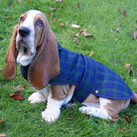 Tartan Dog Coat
