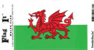Welsh Dragon Flag Decal