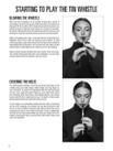 Tin Whistle Method by Hal Leonard