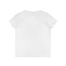 Tartan Army Ladies' V-Neck Tee - Scottish Lion Crest Women's Shirt