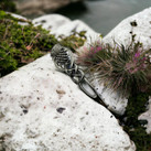 Contemporary Scottish Thistle Kilt Pin