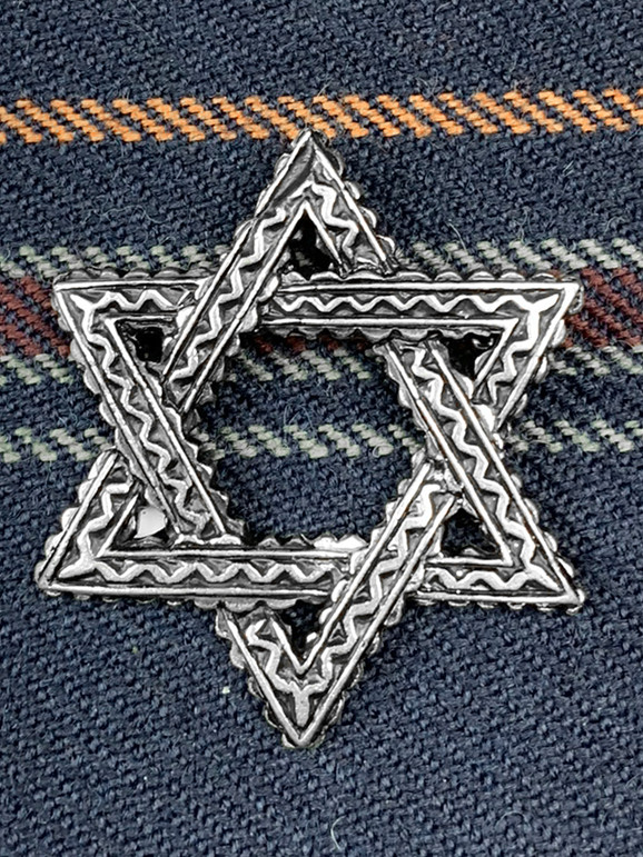 Small Star Pin image