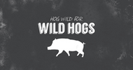 Wild Hogs Infographic